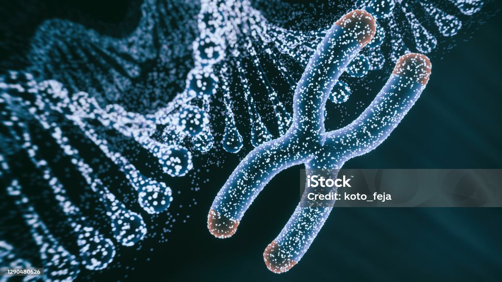 Abstract Genetics Disease Abstract Genetics Disease - 3d rendered image. Hologram view. SEM (TEM) macroscope image. DNA mutations. Vexas disease. Medicine Healthcare research concept. X chromosomes objects. Chromosome Stock Photo
