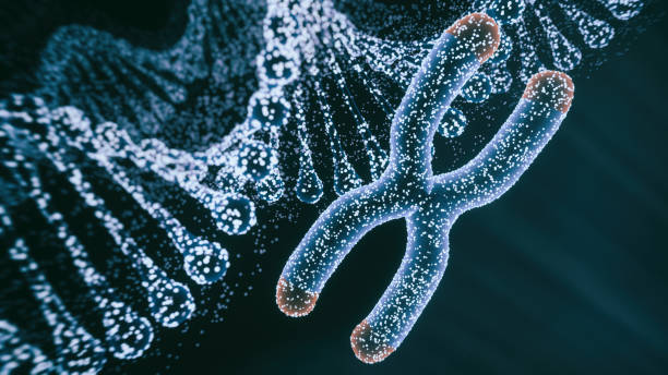 Abstract Genetics Disease Abstract Genetics Disease - 3d rendered image. Hologram view. SEM (TEM) macroscope image. DNA mutations. Vexas disease. Medicine Healthcare research concept. X chromosomes objects. crispr photos stock pictures, royalty-free photos & images