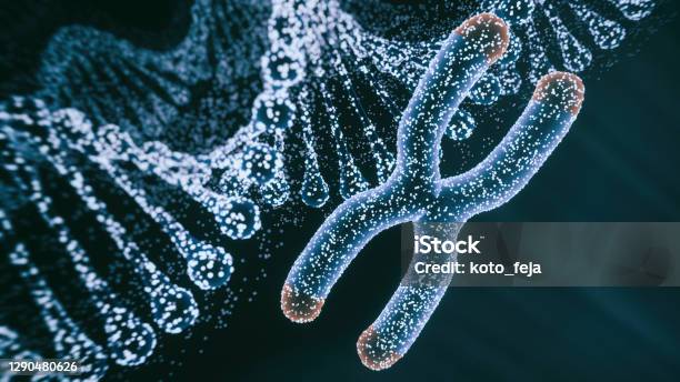 Abstract Genetics Disease Stock Photo - Download Image Now - Chromosome, CRISPR, Cancer - Illness