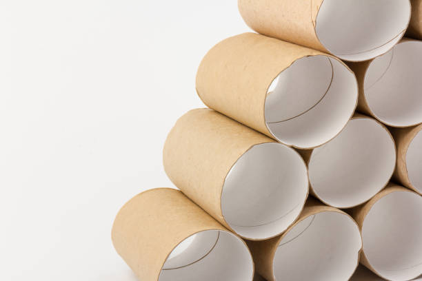 istock empty paper toilet rolls on white background 1290482823