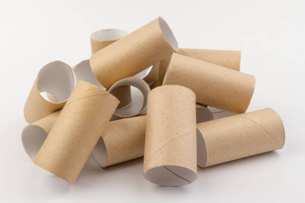 istock empty paper toilet rolls on white background 1290482866