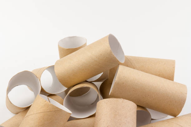 istock empty paper toilet rolls on white background 1290482881