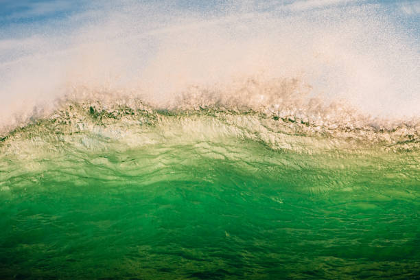 istock Perfect wave in ocean. Breaking green wave with sun light 1290486660