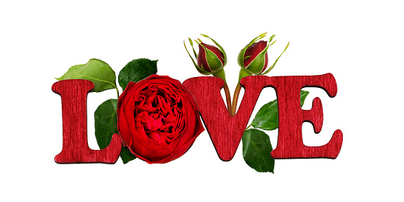 Letters LOVE made of painted wood and red rose flower isolated on white background