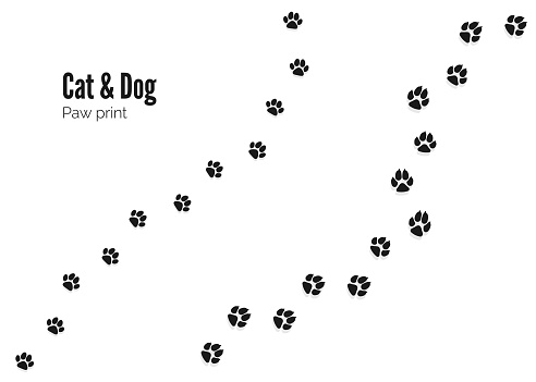 Cat and Dog Paw Print. Pets or Animals Paw Trail. Vector illustration