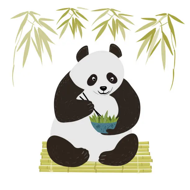 Vector illustration of Cute panda eat bamboo with chopsticks isolated in white background.