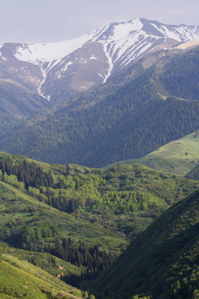 istock Tien Shan mountains 1290493660