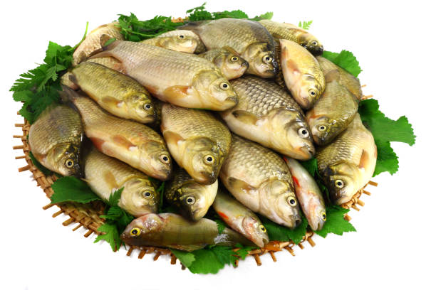 istock River fish (carp) and the greens on a round dish. 1290495329