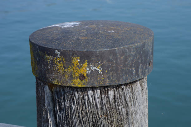 istock bollard in the water side view 1290496790