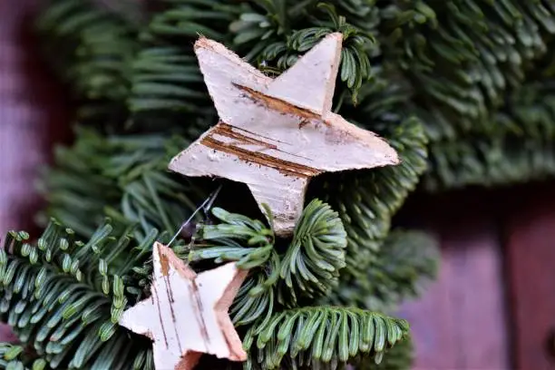 close up of a fir branch with two small birch stars