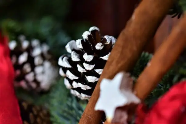 Fir branch with a pine cone and cinnamon sticks as a close up