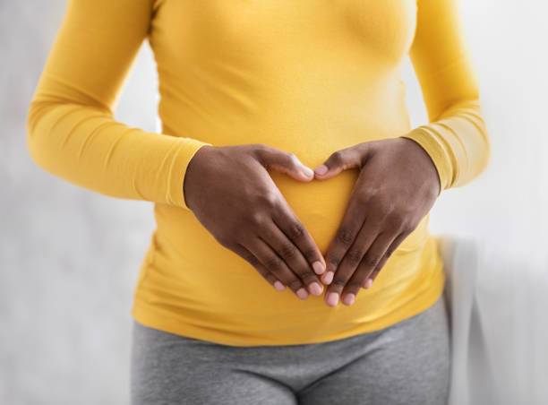 mujer embarazada sosteniendo las palmas en forma de corazón en su barriga - holding belly fotografías e imágenes de stock