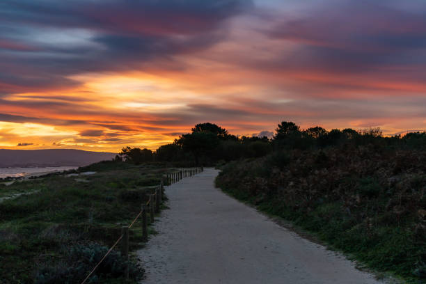 A sandy path leading along the shore between beach and forest during a gorgeous sunrise