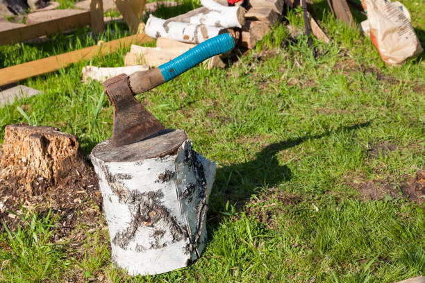 istock A wooden deck from a birch trunk with a stuck ax with a rewound blue electrical tape handle against a background of chopped firewood and green grass. A rustic tool for the job. 1290503172
