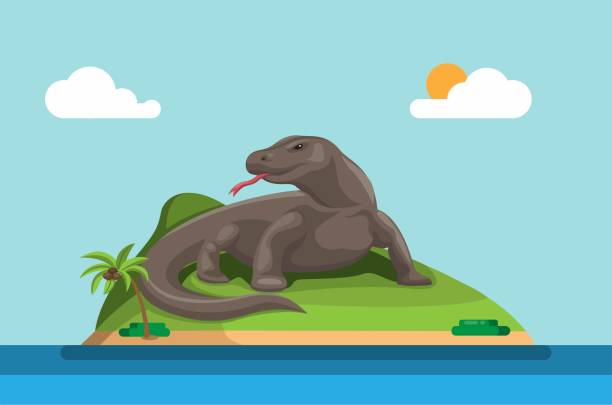 Komodo Island Indonesian Island Habitat Of The Komodo Dragon The Largest  Lizard On Earth Concept In Cartoon Illustration Vector Stock Illustration -  Download Image Now - iStock