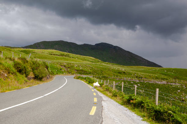 istock Road in Ireland 1290504057