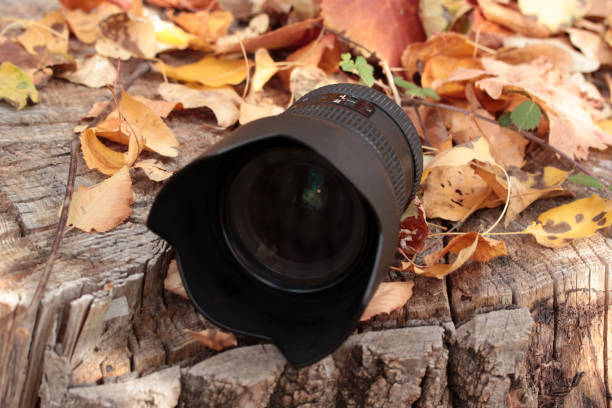 istock Yellow leaves and camera lens 1290504497