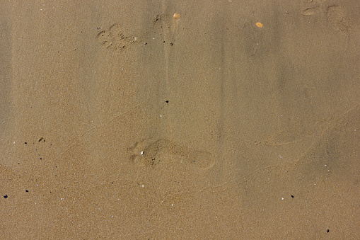 Human barefoot prints on the beach, view from above