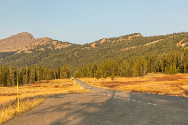 istock Highway Leading into Wyoming Forest and Mountains 1290505525