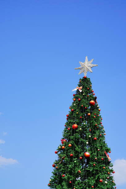 istock Christmas Tree Outdoor 1290507835