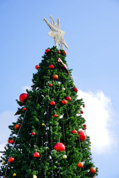 istock Christmas Tree Outdoor on sky background 1290507893