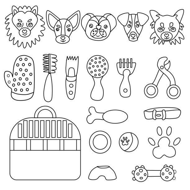 ilustraciones, imágenes clip art, dibujos animados e iconos de stock de listo para el cuidado de perros pequeños. colección de peines de pelo de perro, rascador, tazón, portador y juguetes. los iconos vectoriales se dibujan en estilo doodle y se aíslan sobre un fondo blanco. - grooming dog pets brushing