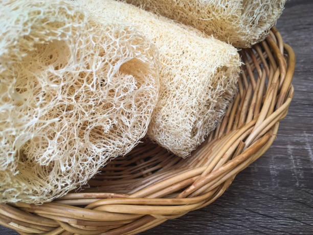 istock luffah loofah in rattan tray 1290510327