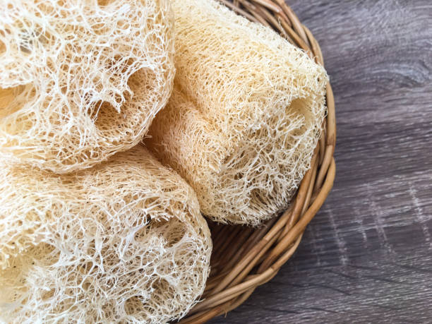 istock luffah loofah in rattan tray 1290510365