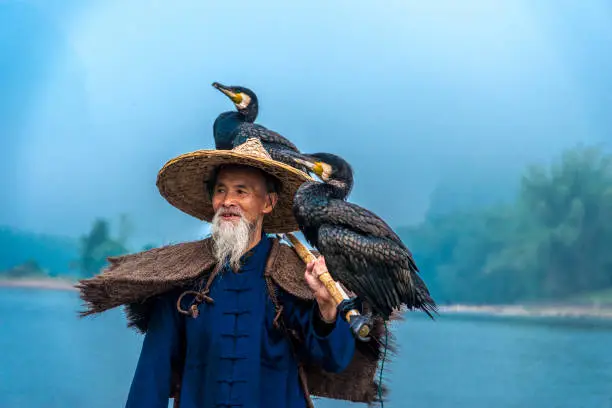 Photo of Portrait Chinese traditional fisherman with cormorants fishing, Li River China