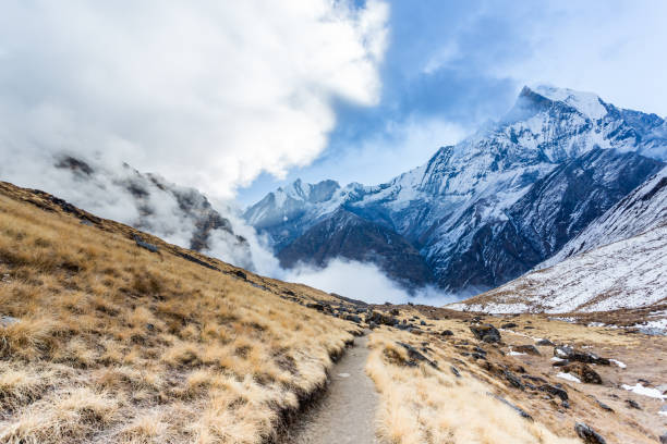 vista del monte machapuchare dal nepalese che significa montagna coda di pesce, area di conservazione dell'annapurna, himalaya, nepal. - annapurna range foto e immagini stock