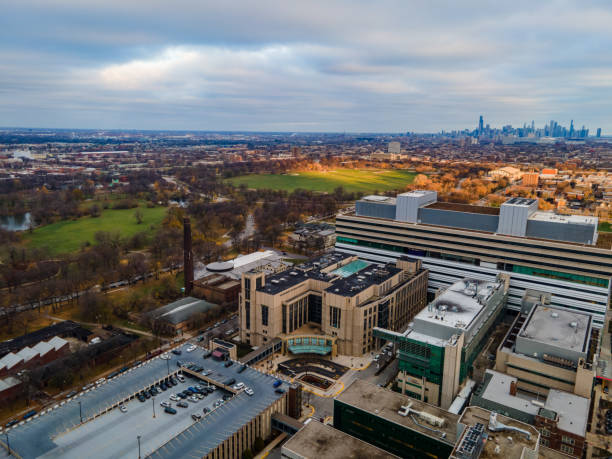 istock Aerial View of Chicago Skyline 1290514694