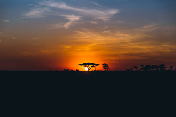 istock Good morning, dear Africa! 1290515971