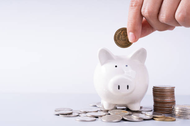 istock Hand putting money coin into piggy bank with stack coins isolated grey background. Saving money and investment concept. 1290530620