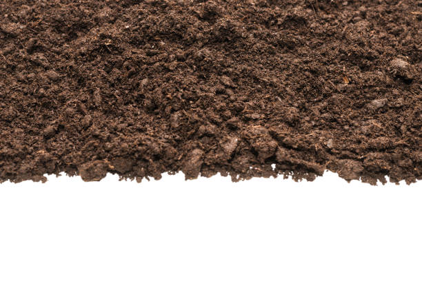 istock Black land for plant. 1290532871