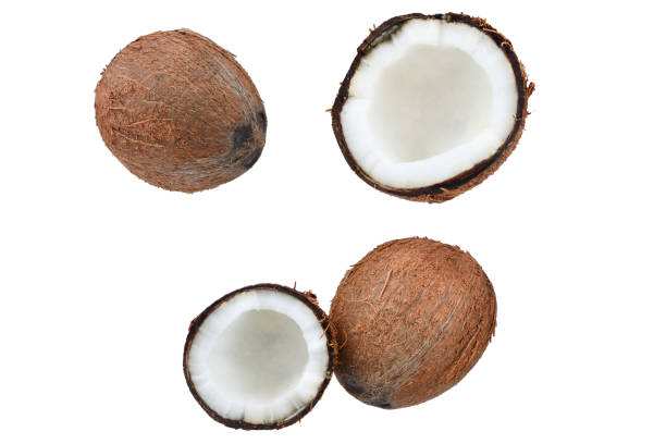 istock Coconut isolated on white background. Space for text or design. 1290533470