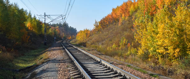 istock The railway passes through a beautiful autumn forest with colorful trees. 1290533552