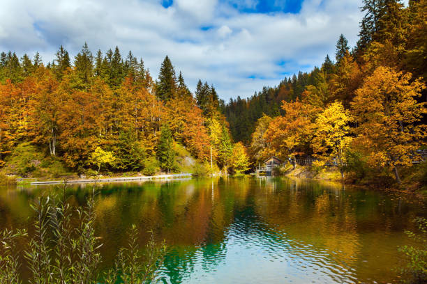 istock Border between Italy and Slovenia 1290533648