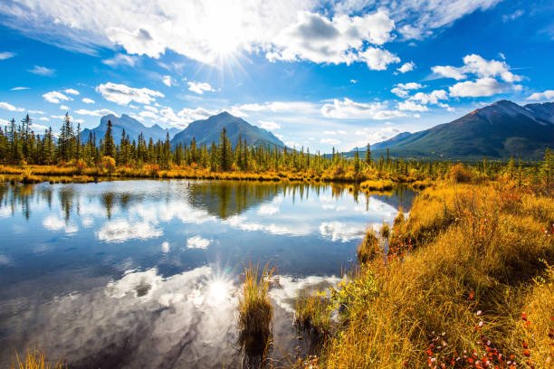 istock The Rocky Mountains of Canada 1290533696