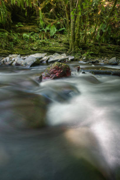istock A reddish rock protrudes from the rushing current 1290534450