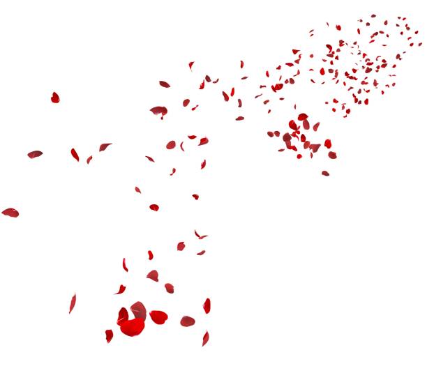 istock Red rose petals fly in the air 1290535671