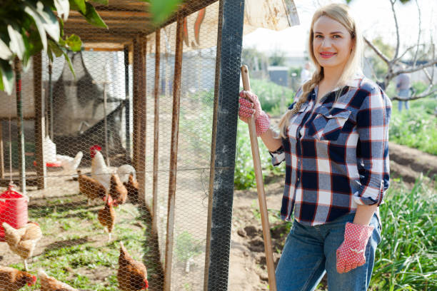istock Young woman farmer caring for poultry 1290538314