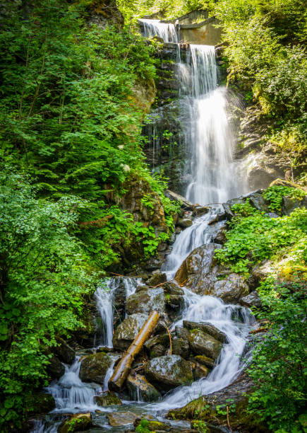 istock waterfall at the european alps 1290540333