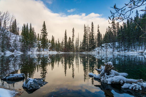 obere grassi-seen in der wintersaison. canmore, alberta, kanada. - woods reflection famous place standing water stock-fotos und bilder