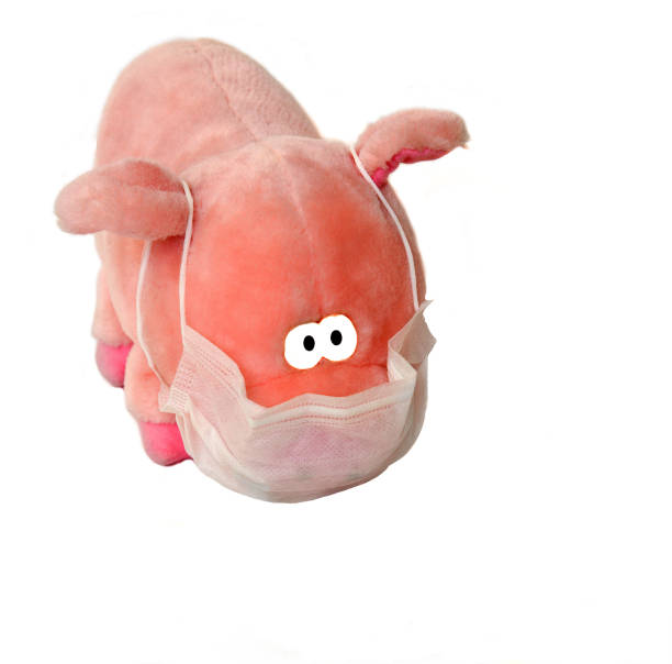 istock Sad piglet. Toy with medical mask on white background 1290541716