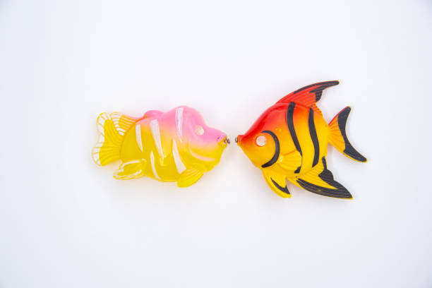 deux poissons en plastique différents se trouvent sur un fond blanc faisant face l’un à l’autre - gannet photos et images de collection