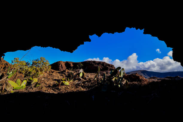 landscape in tropical volcanic canary islands spain - 3621 imagens e fotografias de stock