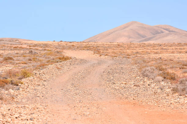 istock Landscape in Tropical Volcanic Canary Islands Spain 1290543493