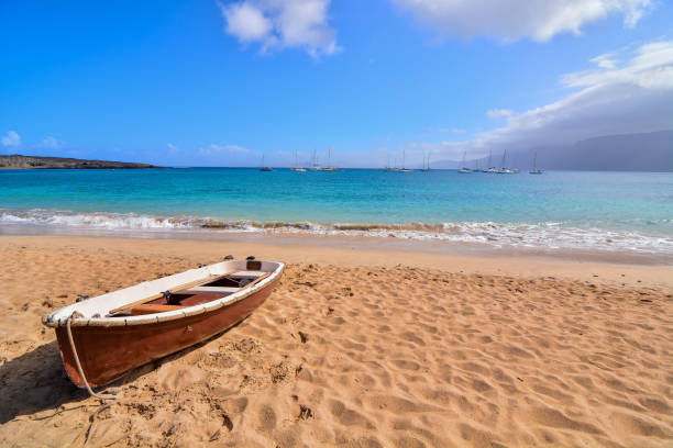 istock Landscape in Tropical Volcanic Canary Islands Spain 1290543495