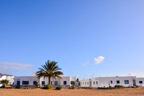 istock Landscape in Tropical Volcanic Canary Islands Spain 1290543519