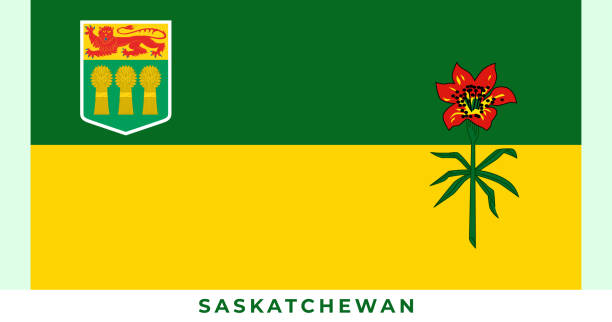 ilustraciones, imágenes clip art, dibujos animados e iconos de stock de bandera nacional de saskatchewan. ilustración vectorial, vector de la bandera de saskatchewan. - saskatchewan province canada flag